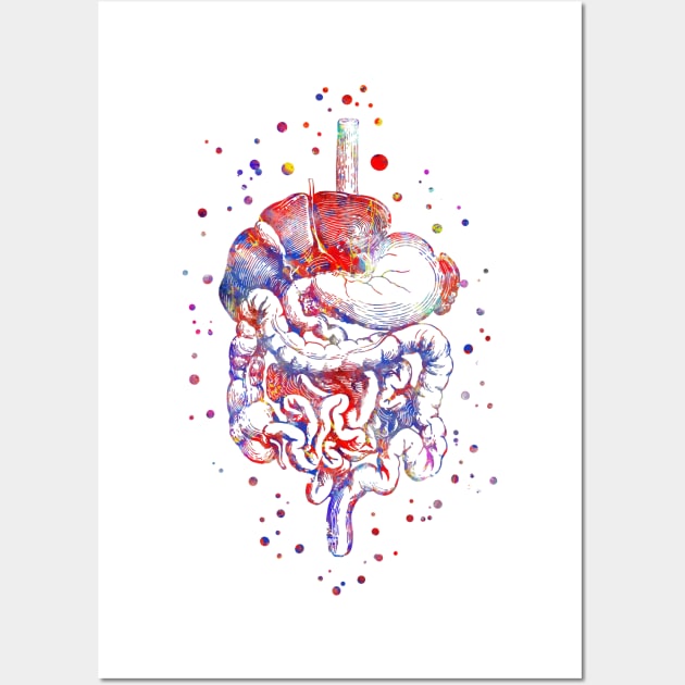 Digestive system Wall Art by RosaliArt